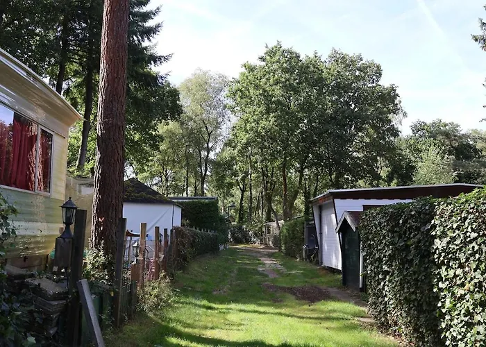 Canary Wellness - Sauna & Hottub Chalet *